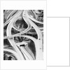 Four-Level Interchange at Turnpike by Anonymous