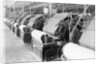 Machines Used in Cotton Production by Anonymous