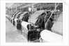 Machines Used in Cotton Production by Anonymous