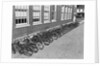 Bikes On Bike Rack by Anonymous