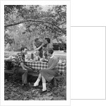 Couples On a Picnic by Anonymous