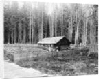 Homesteader In Home In Forest by Anonymous