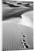 Footprints on Desert Dunes by Anonymous