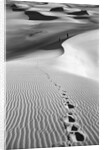 Footprints on Desert Dunes by Anonymous