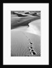 Footprints on Desert Dunes by Anonymous
