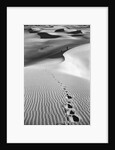 Footprints on Desert Dunes by Anonymous