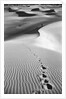 Footprints on Desert Dunes by Anonymous