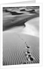 Footprints on Desert Dunes by Anonymous