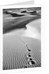 Footprints on Desert Dunes by Anonymous