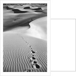 Footprints on Desert Dunes by Anonymous