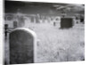 Overgrown Cemetery by Anonymous