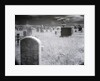 Overgrown Cemetery by Anonymous