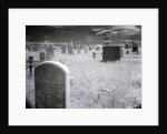 Overgrown Cemetery by Anonymous