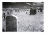 Overgrown Cemetery by Anonymous