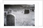 Overgrown Cemetery by Anonymous