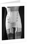 Girdle With Garters Displayed on Mannequin by Anonymous