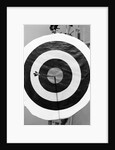 Archery Target With Arrow in the Bull's Eye by Anonymous