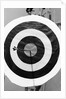 Archery Target With Arrow in the Bull's Eye by Anonymous