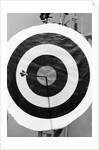Archery Target With Arrow in the Bull's Eye by Anonymous