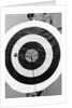Archery Target With Arrow in the Bull's Eye by Anonymous