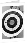 Archery Target With Arrow in the Bull's Eye by Anonymous