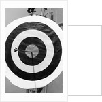 Archery Target With Arrow in the Bull's Eye by Anonymous