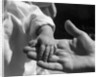 Infant's Hand in Man's Hand by Anonymous