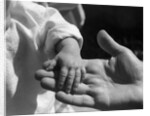 Infant's Hand in Man's Hand by Anonymous