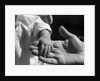 Infant's Hand in Man's Hand by Anonymous