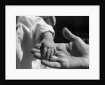 Infant's Hand in Man's Hand by Anonymous