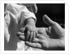 Infant's Hand in Man's Hand by Anonymous