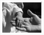 Infant's Hand in Man's Hand by Anonymous