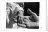 Infant's Hand in Man's Hand by Anonymous
