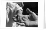 Infant's Hand in Man's Hand by Anonymous