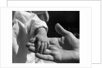 Infant's Hand in Man's Hand by Anonymous