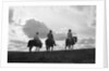 Three Men Riding the Range by Anonymous