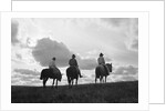 Three Men Riding the Range by Anonymous