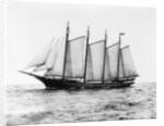 Short-Masted Schooner by Anonymous