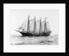 Short-Masted Schooner by Anonymous