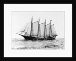 Short-Masted Schooner by Anonymous