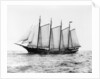 Short-Masted Schooner by Anonymous