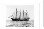 Short-Masted Schooner by Anonymous