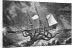 Seamonsters, The Kraken by Anonymous