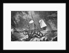 Seamonsters, The Kraken by Anonymous