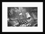 Seamonsters, The Kraken by Anonymous