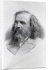 Dmitry Ivanovich Mendeleyev by Anonymous
