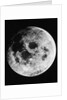 Moon Seen From Apollo 11 by Anonymous