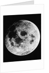 Moon Seen From Apollo 11 by Anonymous