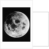 Moon Seen From Apollo 11 by Anonymous