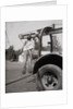 Effigy To Paul Robeson Hanging On Truck by Anonymous